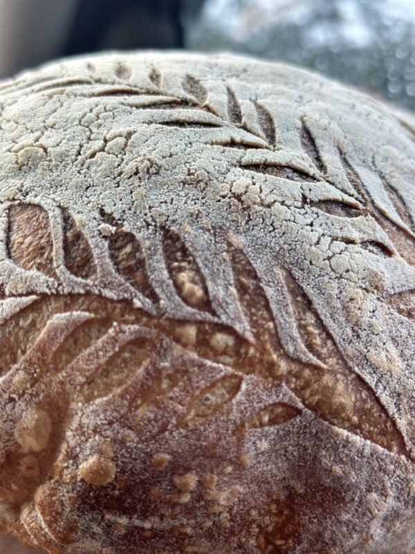 SOURDOUGH BREAD making Workshop for beginners - Image 2