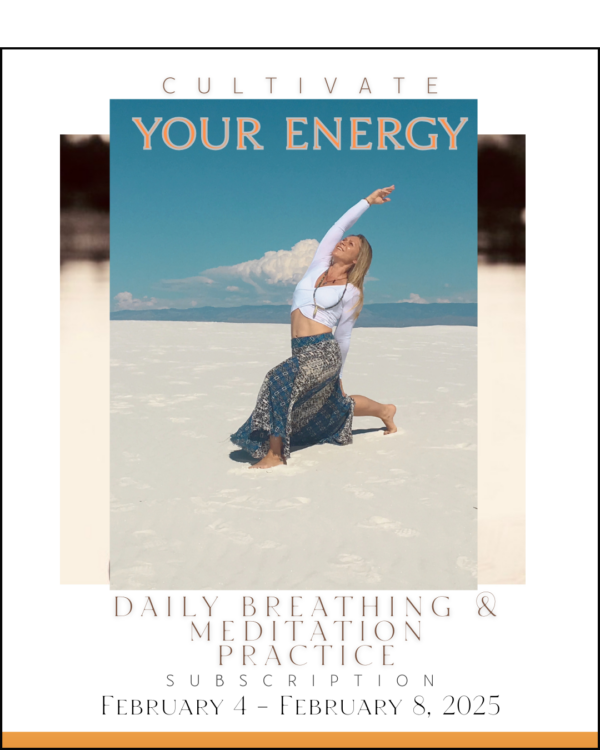 CULTIVATE YOUR ENERGY                          VIRTUAL MENTORSHIP PROGRAM