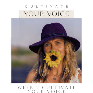 CULTIVATE YOUR VOICE                           VIRTUAL MENTORSHIP PROGRAM