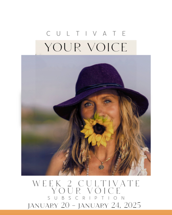CULTIVATE YOUR VOICE                           VIRTUAL MENTORSHIP PROGRAM