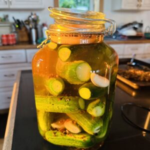 PICKLING CUCUMBERS and Fermenting Workshop for Beginners