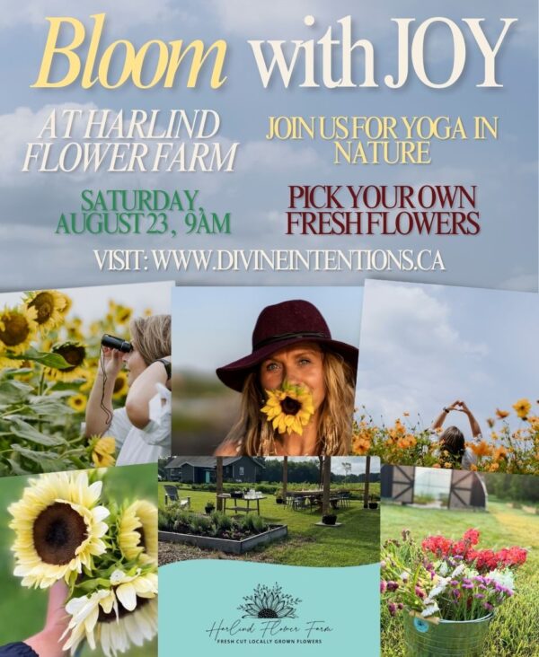 BLOOM with JOY  YOGA IN NATURE AT HARLIND FLOWER FARM